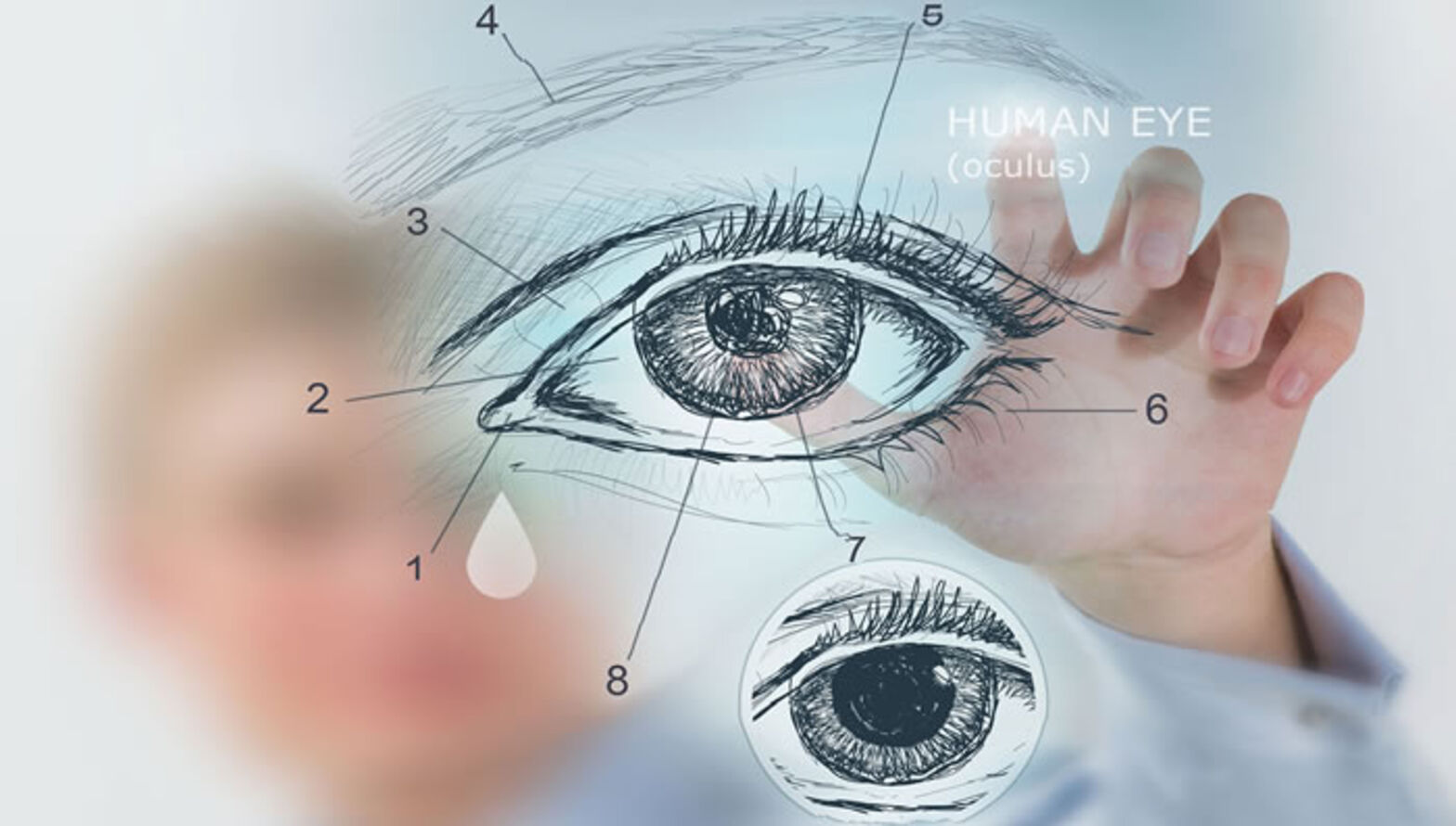 augenmedizin_augen